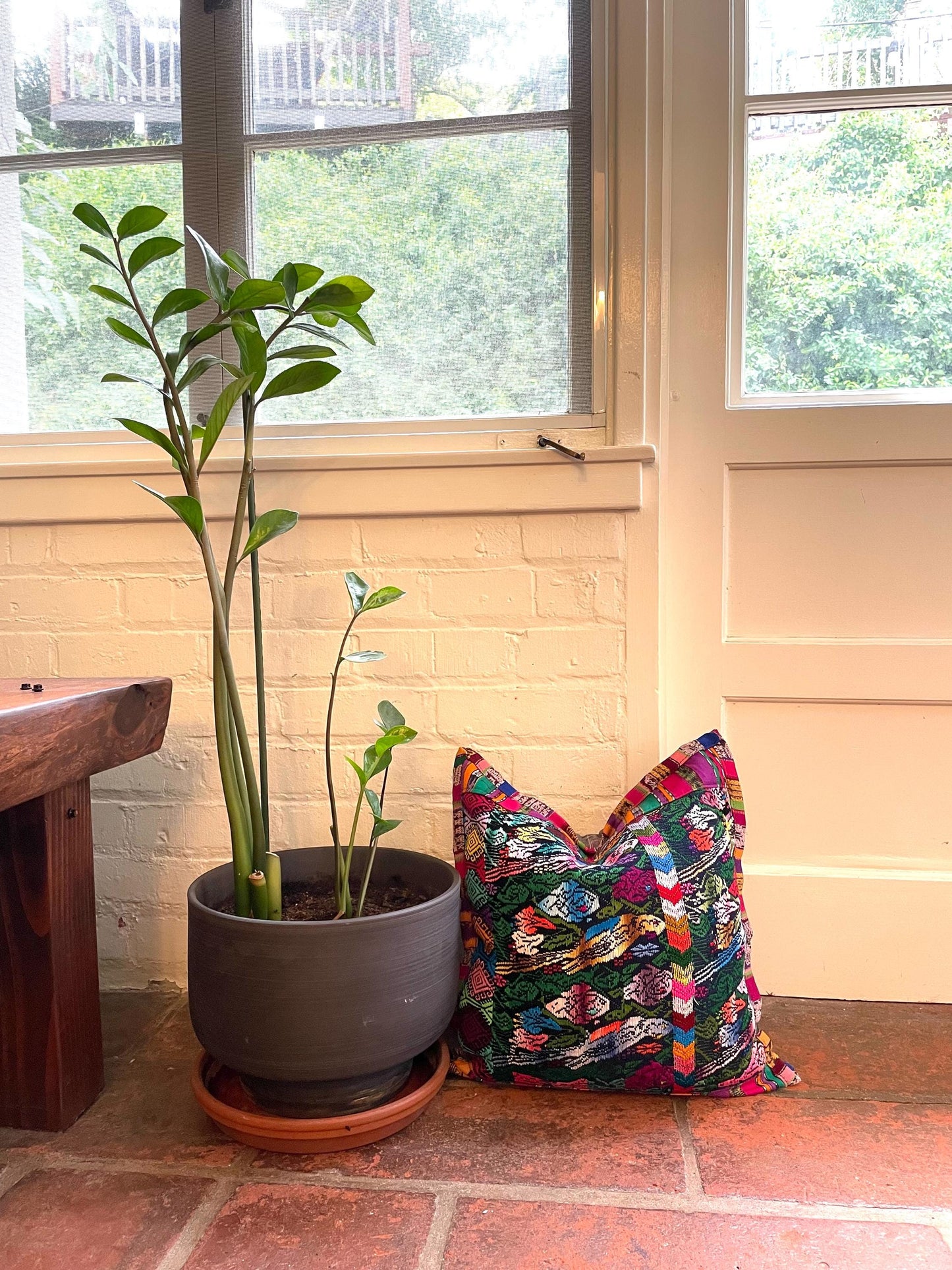 San Juan Chile Verde Pillow Covers