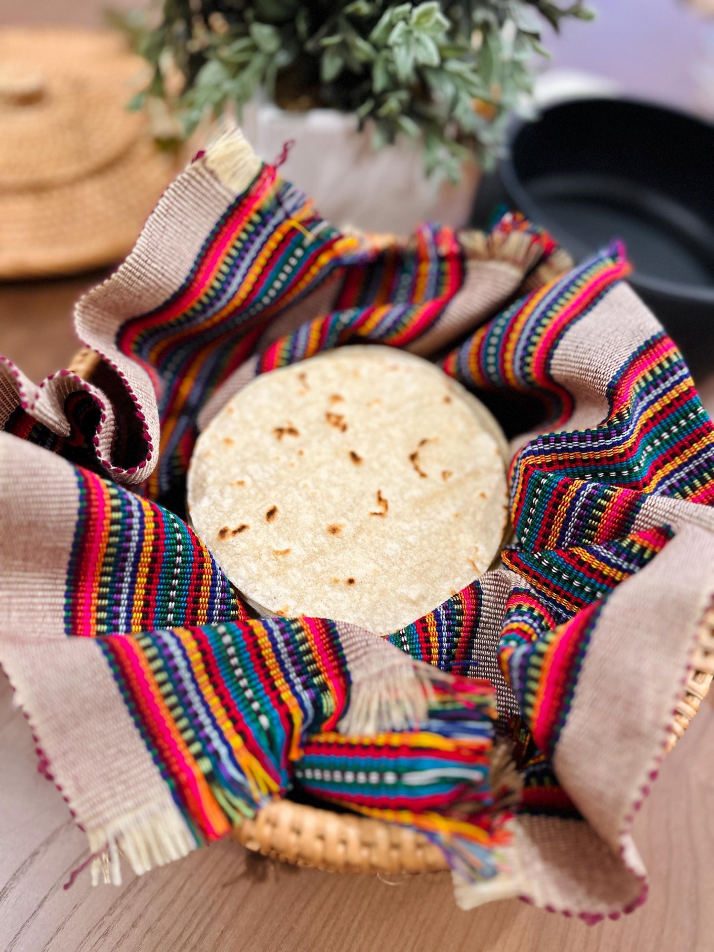 Tortilla Warmer - Crimson / Jungle / Cobalt Blue / Oat