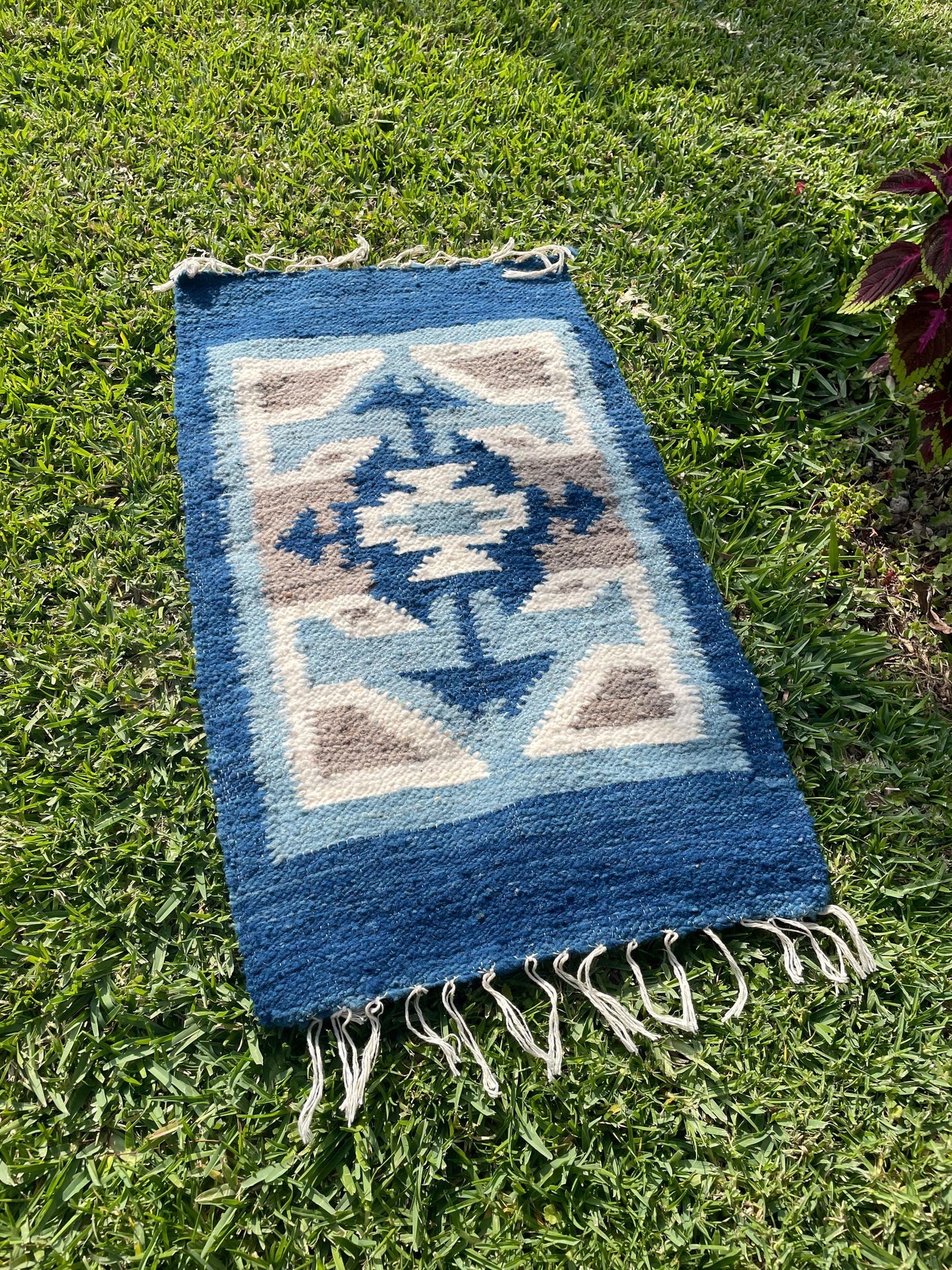 Wool Rug